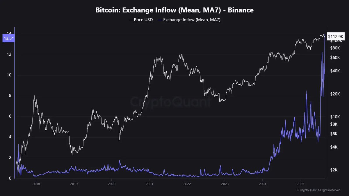 Binance Change Inflows Reveal Shift Towards Whale Exercise, CryptoQuant Knowledge Reveals