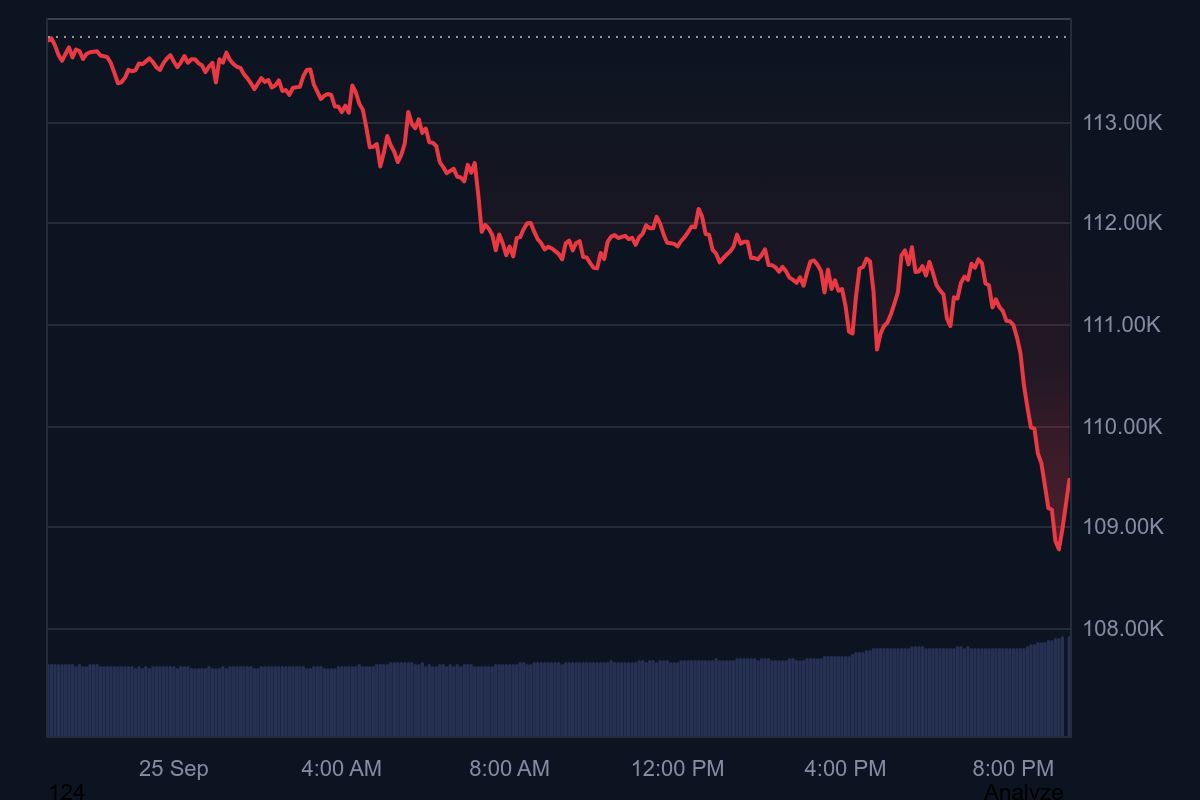 Crypto Market Hit by $220M Liquidation Wave as Bitcoin Slips Below $110,000