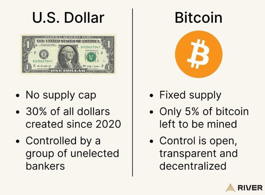Bitcoin vs. USD: What’s the Actual Distinction?