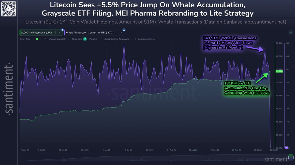 Litecoin Surges as Whales Add 181K LTC Amid ETF and Treasury Increase