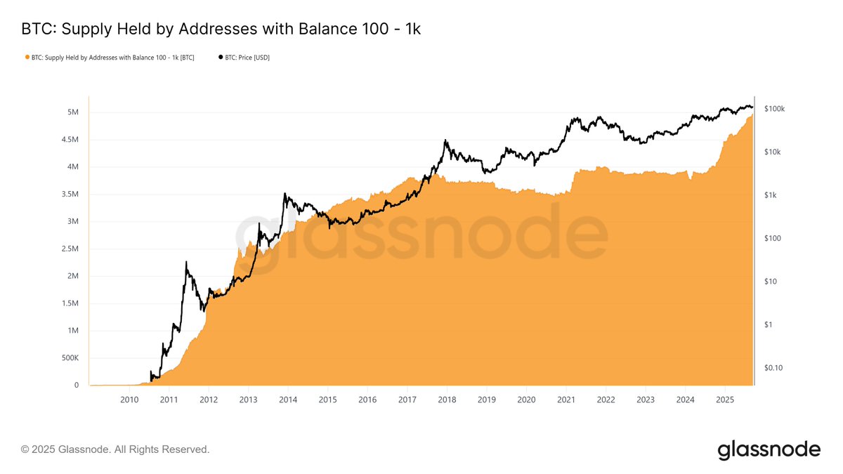 Bitcoin-Sharks erreichen Rekordbestände, während Analysten einen Anstieg  auf $250,000 prognostizieren