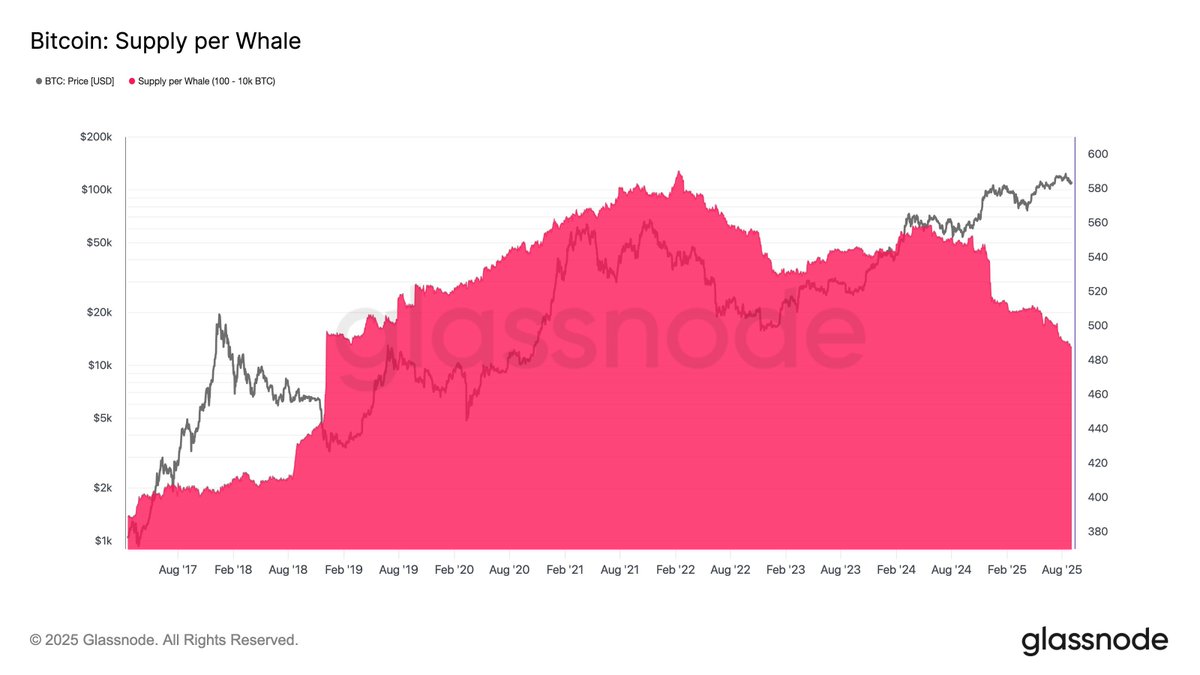 Bitcoin Whales Reduce Holdings to Lowest Ranges Since 2018