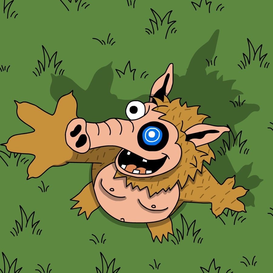 Toshi Price Up Despite Market Dip - Best Meme Coins That May Follow -  CryptoDnes EN