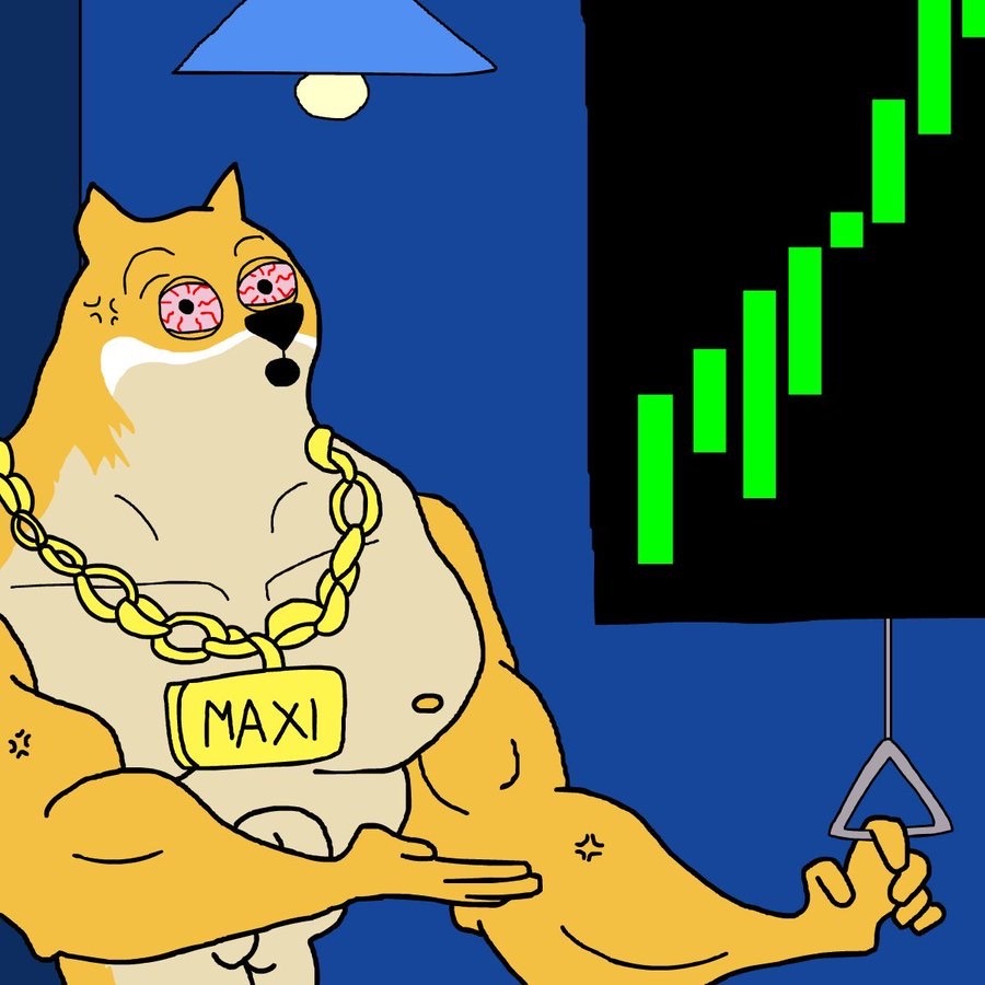 Greatest Meme Cash At a Low cost – Is that this Crash a Good Shopping for Alternative?