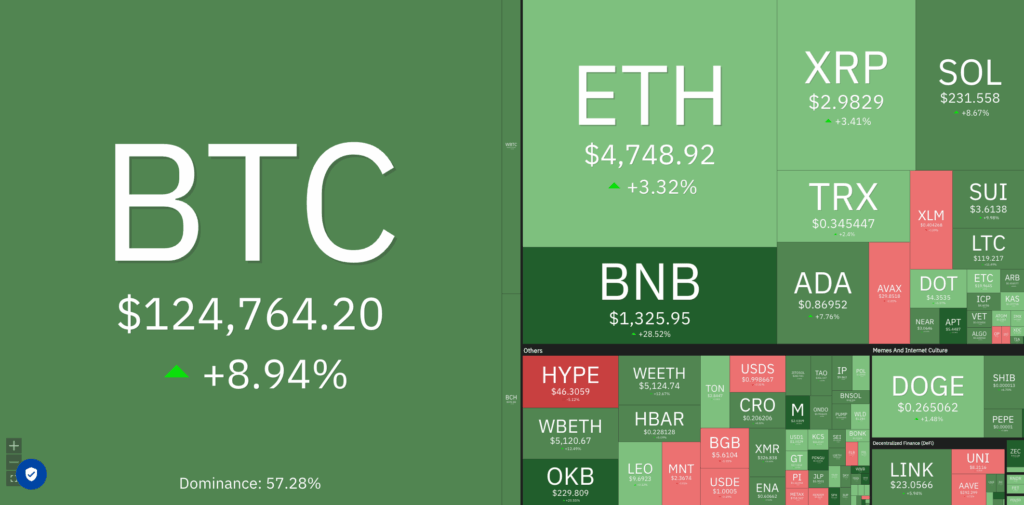 crypto market gains