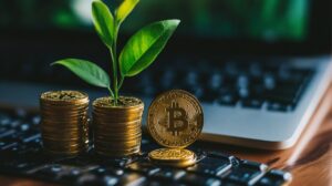 Earn Interest on Stablecoins