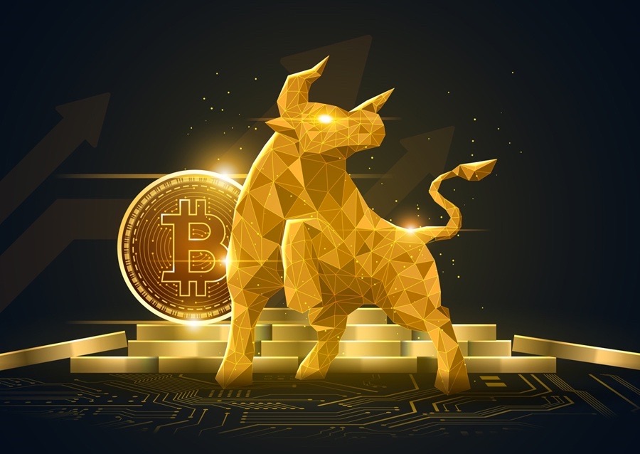 Best Crypto to Buy Now as Bitcoin Wallets Accumulate