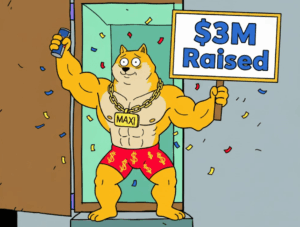 Maxi Doge $3M raised