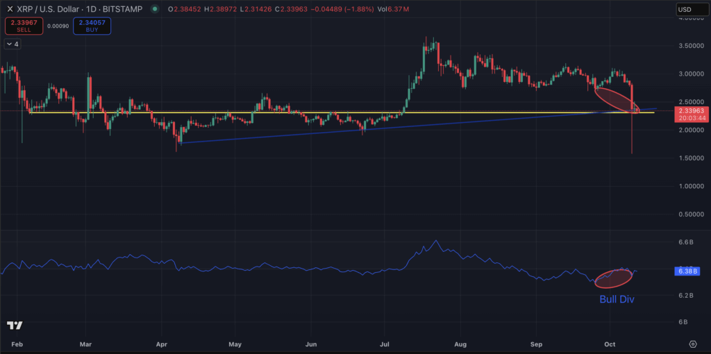 XRP Value Prediction: $XRP Slides In Crypto Crash, Time To Purchase The Dip? – CryptoDnes EN