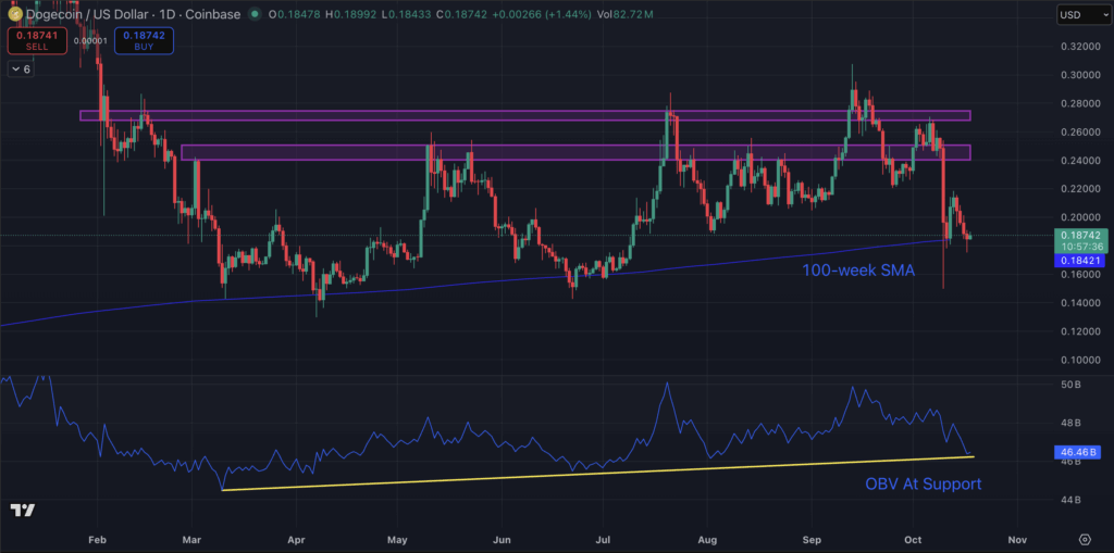 Surprising Dogecoin Worth Prediction Says alt=