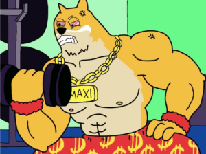 maxi doge