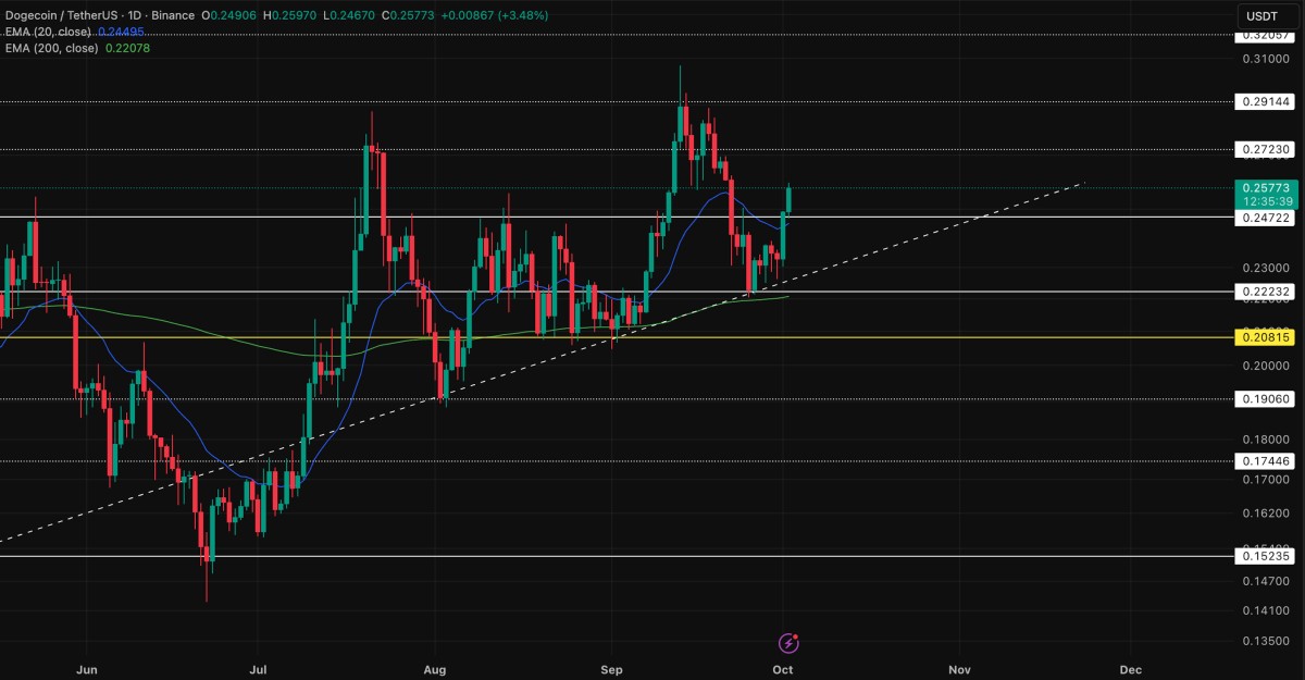 Dogecoin Price Chart