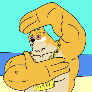 maxi doge meme