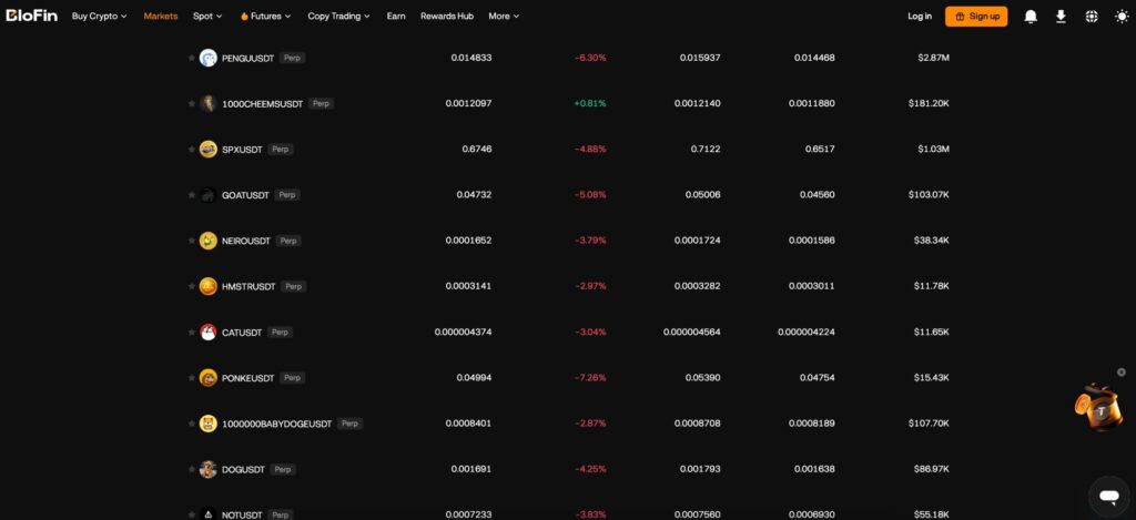 BloFin meme coin margin accounts