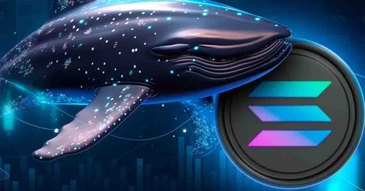 El precio de SOL continúa inestable en medio de grandes adquisiciones de ballenas cripto