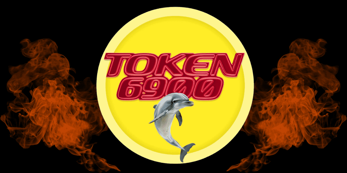 TOKEN6900 ignora el mercado y recauda más de 290.000 dólares en solo una semana