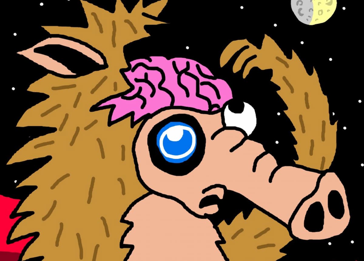 Las ballenas regresan a las meme coins tras el nuevo récord de Bitcoin: este bot de Telegram podría ayudarte a encontrar las mejores