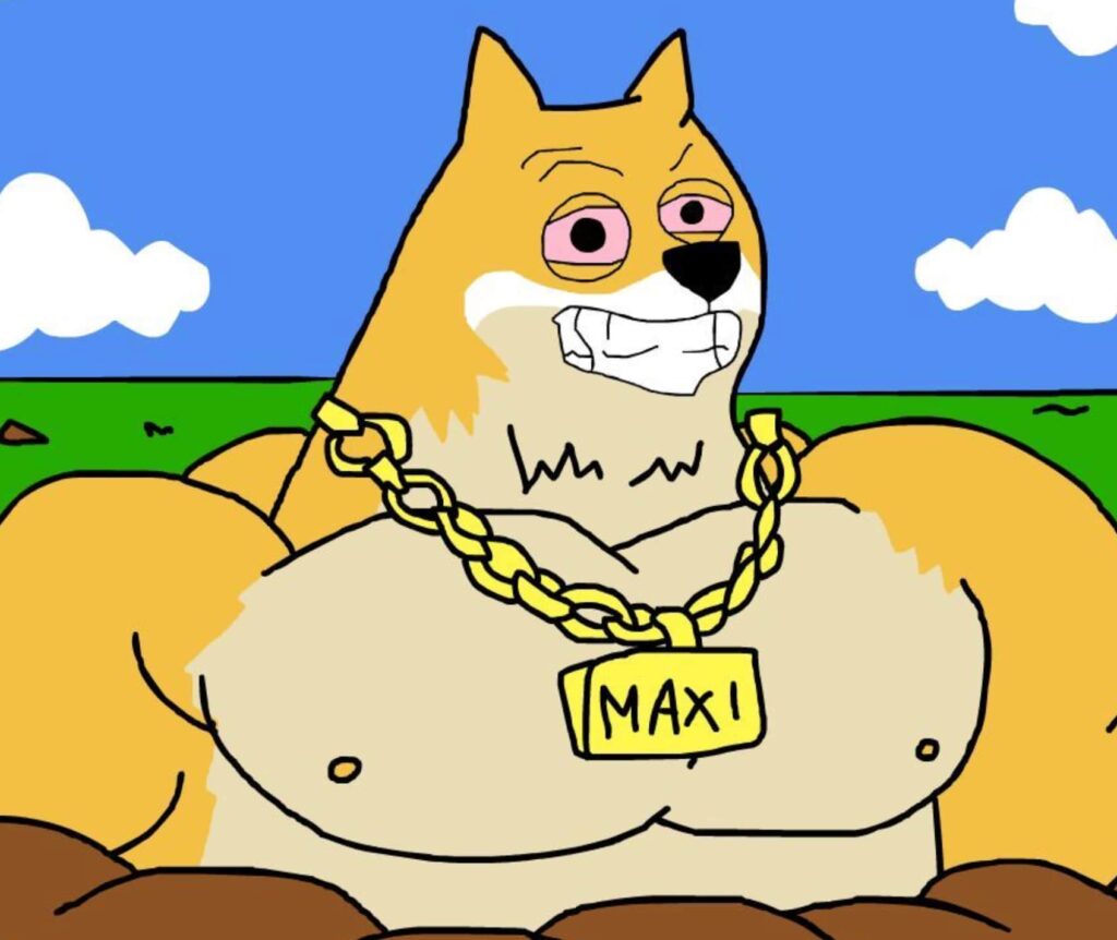 Dogecoin lidera el repunte de monedas meme