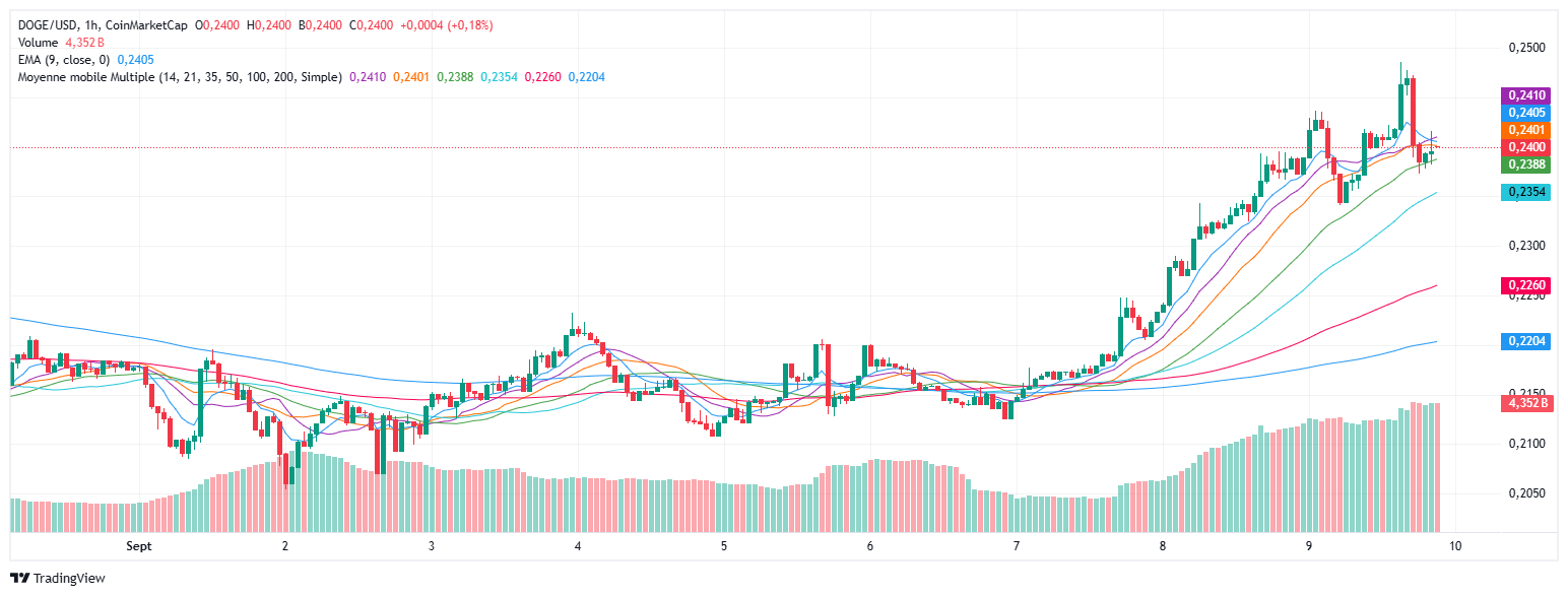 Alerte crypto : Dogecoin (DOGE) pourrait franchir un cap historique dans  les prochaines heures