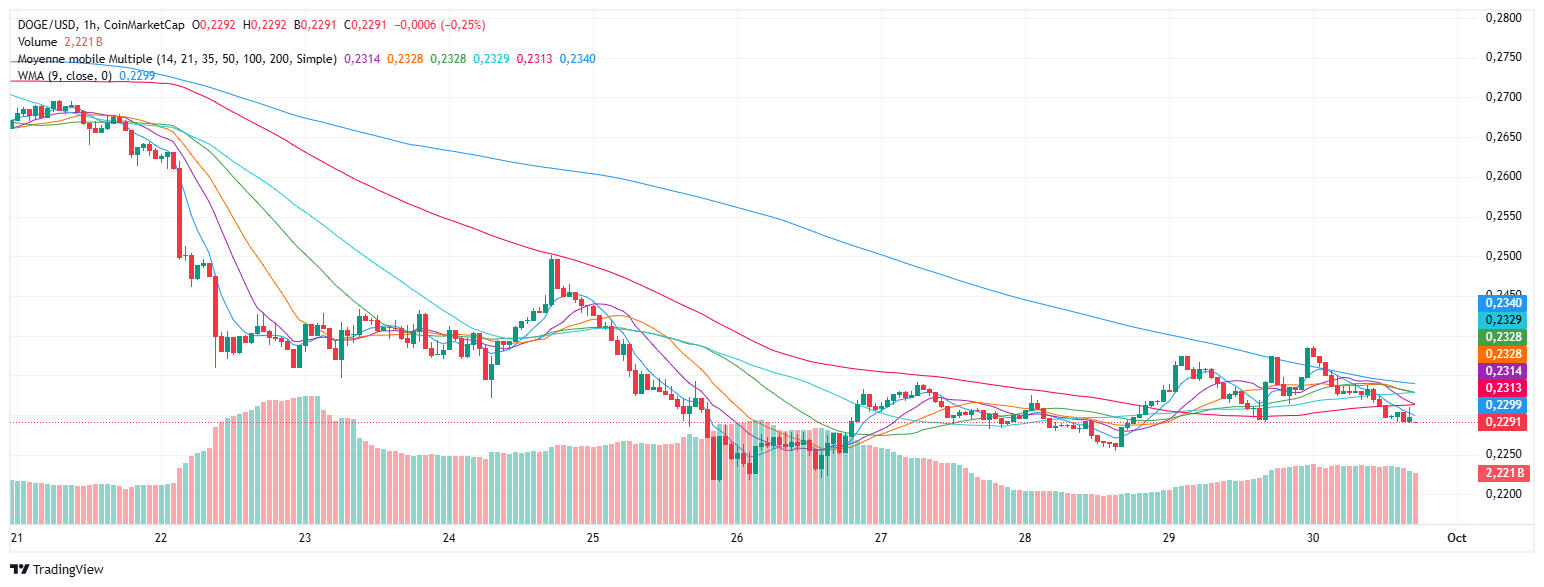 Dogecoin explose avec son ETF : Vers un nouveau rallye à 0,45 $ ?