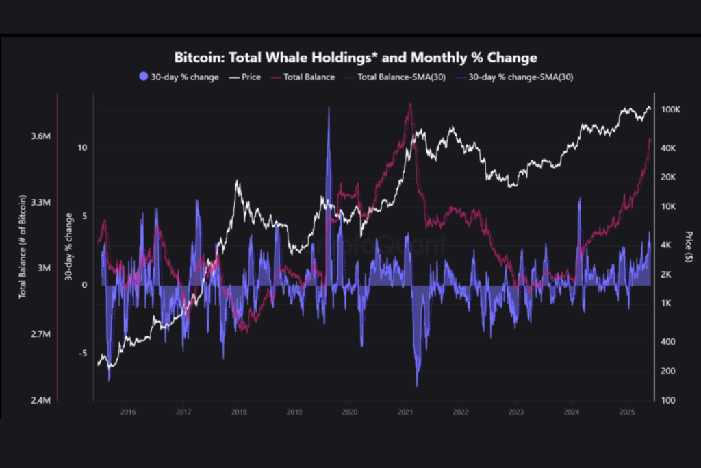 whales holdings graph