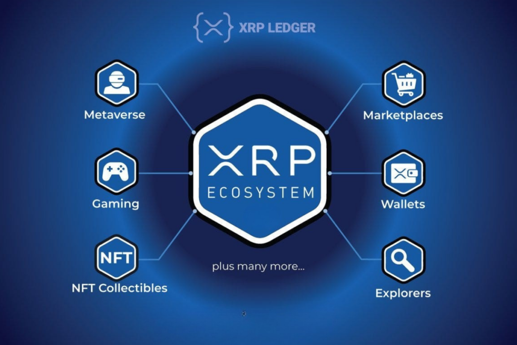 xrp ledger