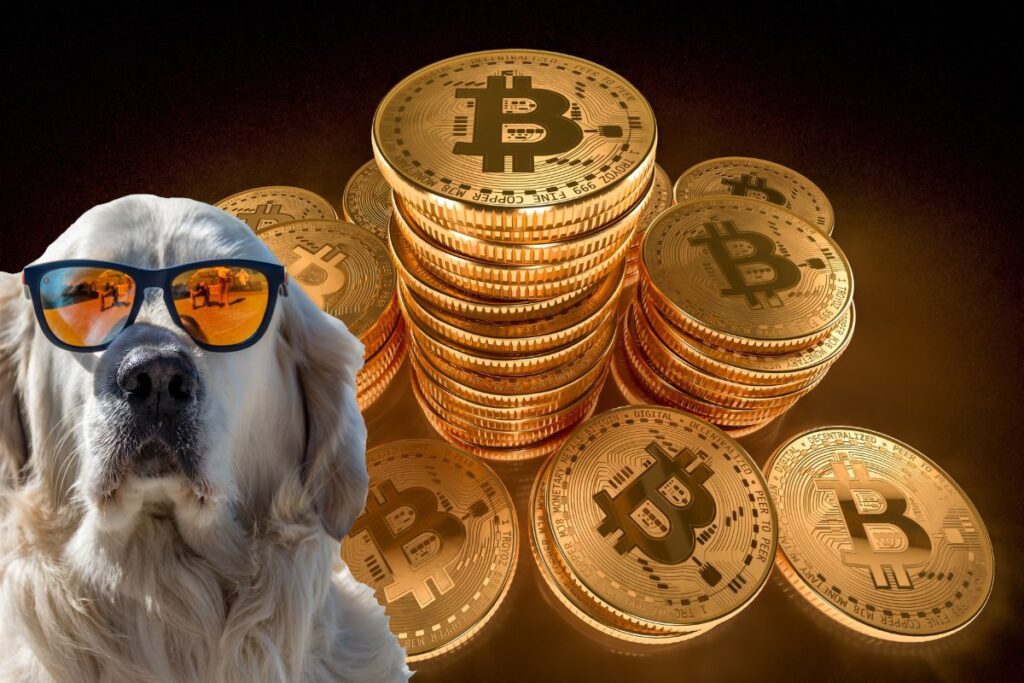 κρυπτονομισματα token