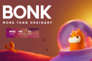 bonk coin