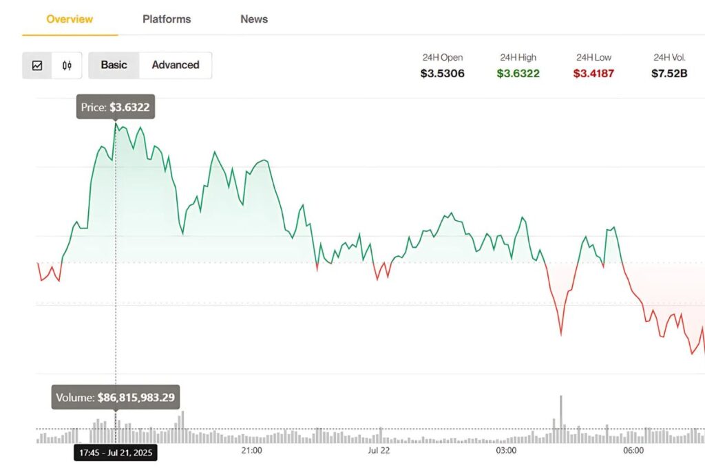 xrp market