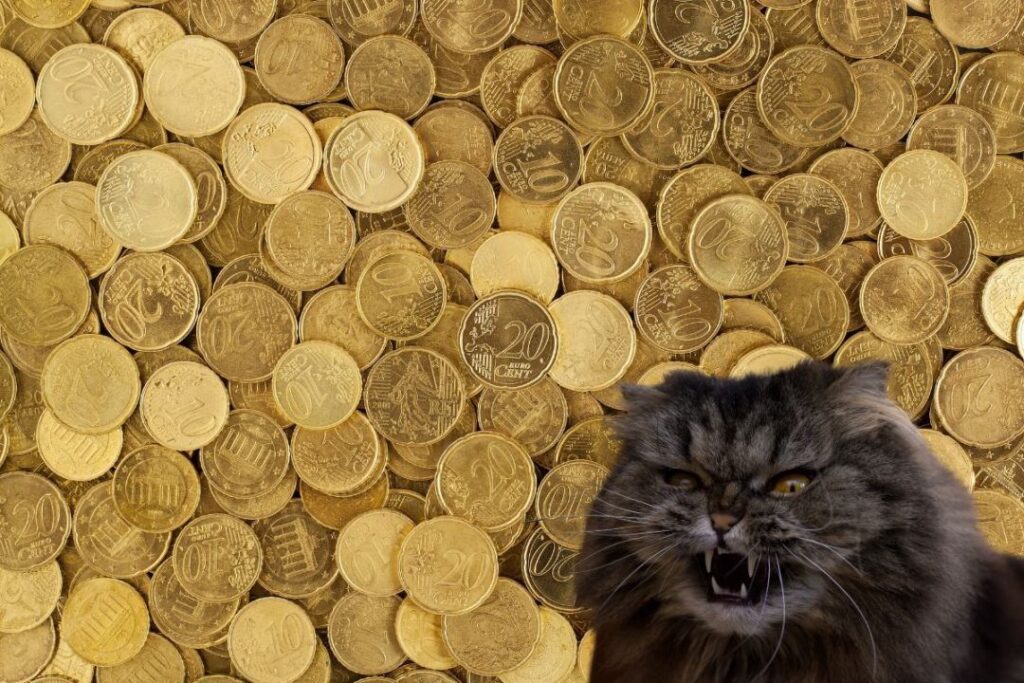 meme coins market