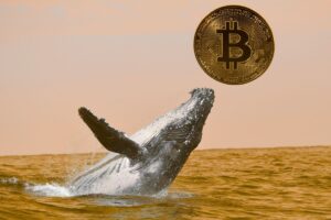 bitcoin whales