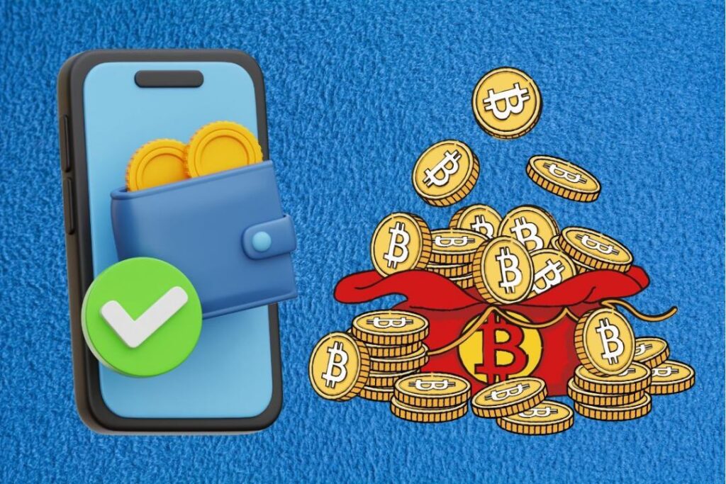 defi wallet system