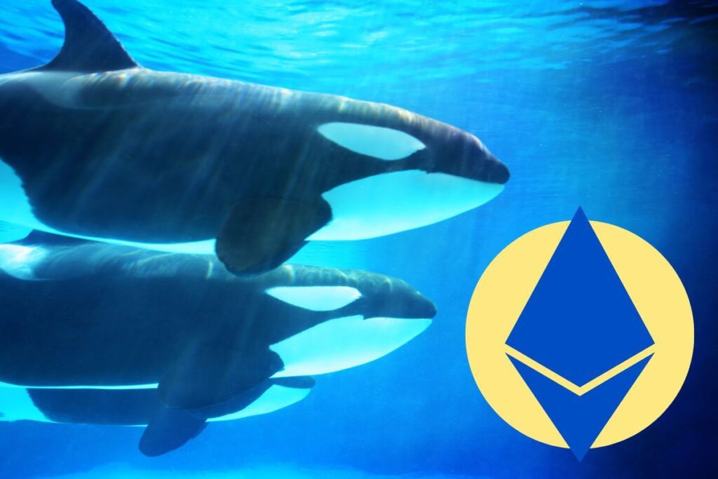 ethereum whales