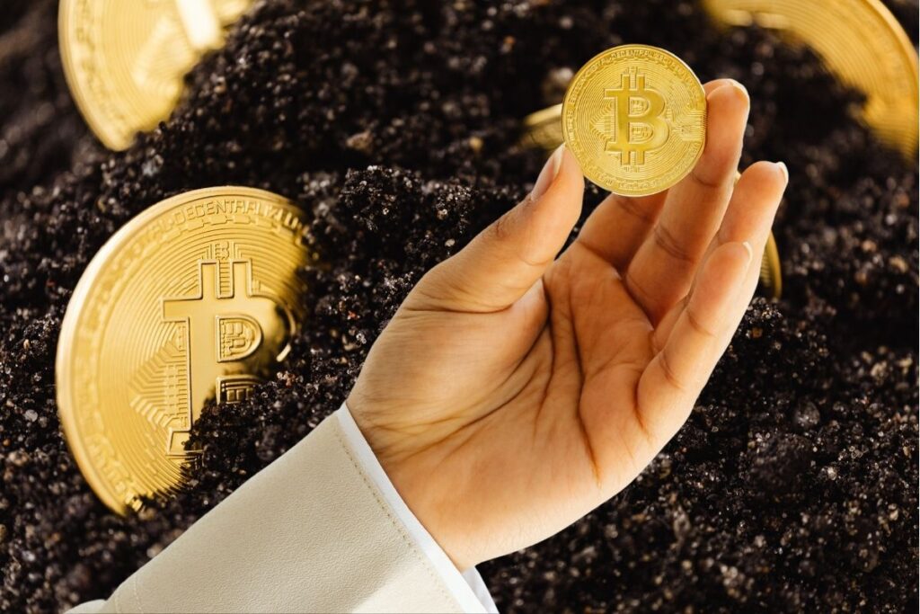 Kevin O'Leary BTC price
