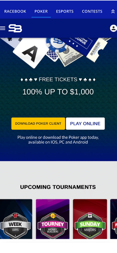 sportsbetting casino Cryptodnes-390x844