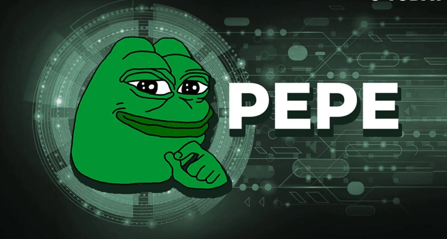 Pepe mem erme