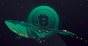 Bitcoin bálnák borító