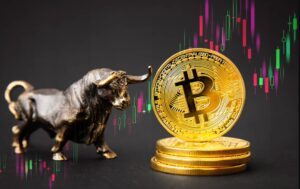 Kripto bikafutam új mém érmék