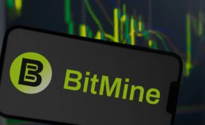 BitMine borító