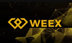 WEEX borító2