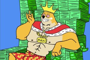 maxi doge ico jan