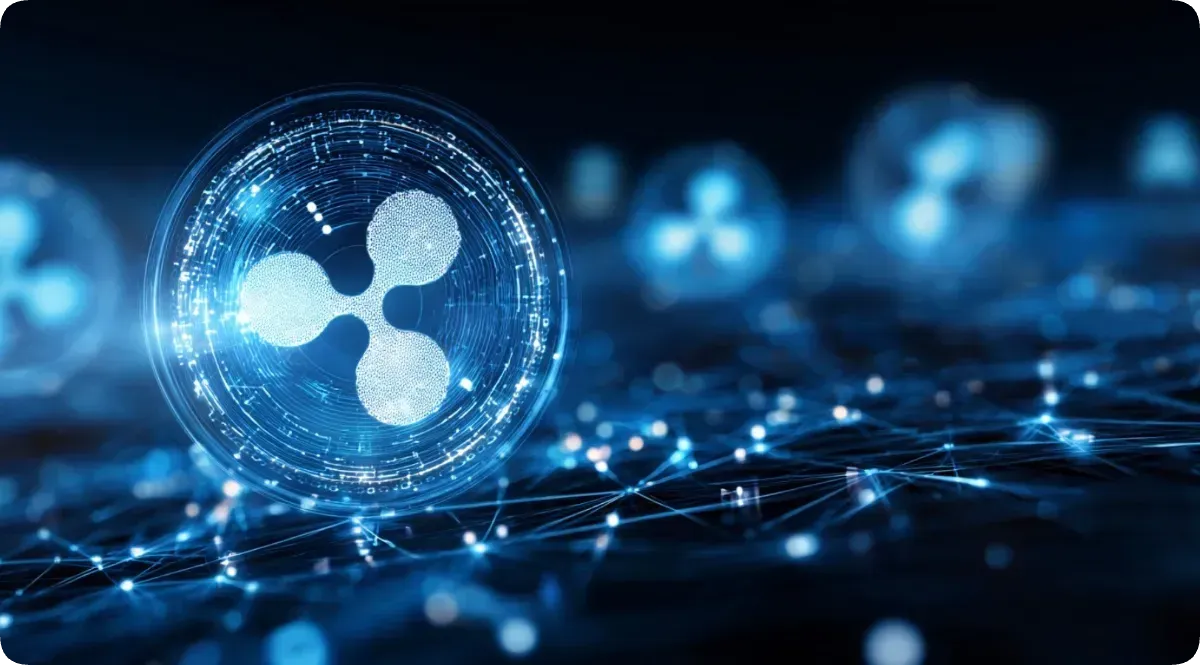 Xrp ウォレット アクティヴェート (91) 사진