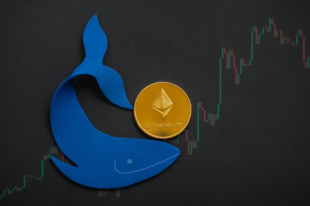 Banginiai grįžta prie meme monetų po Bitkoino ATH – šis Telegram botas gali padėti rasti geriausias kripto