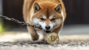 dogecoin ciągnie bitcoina w dół krach na rynku