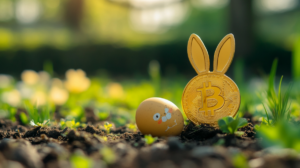 xrp prognoza kryptowalutowa