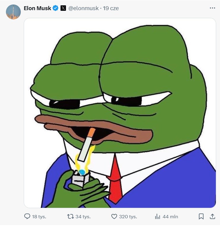 Post Elona Muska z grafiką PEPE 