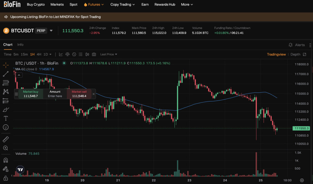 blofin krypto futures