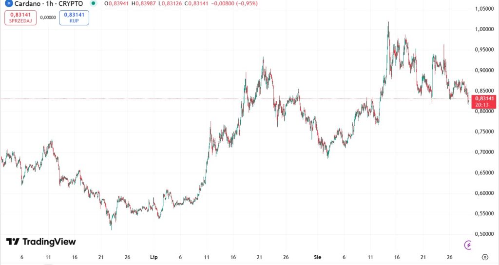 Cardano wzmacnia swoją pozycję