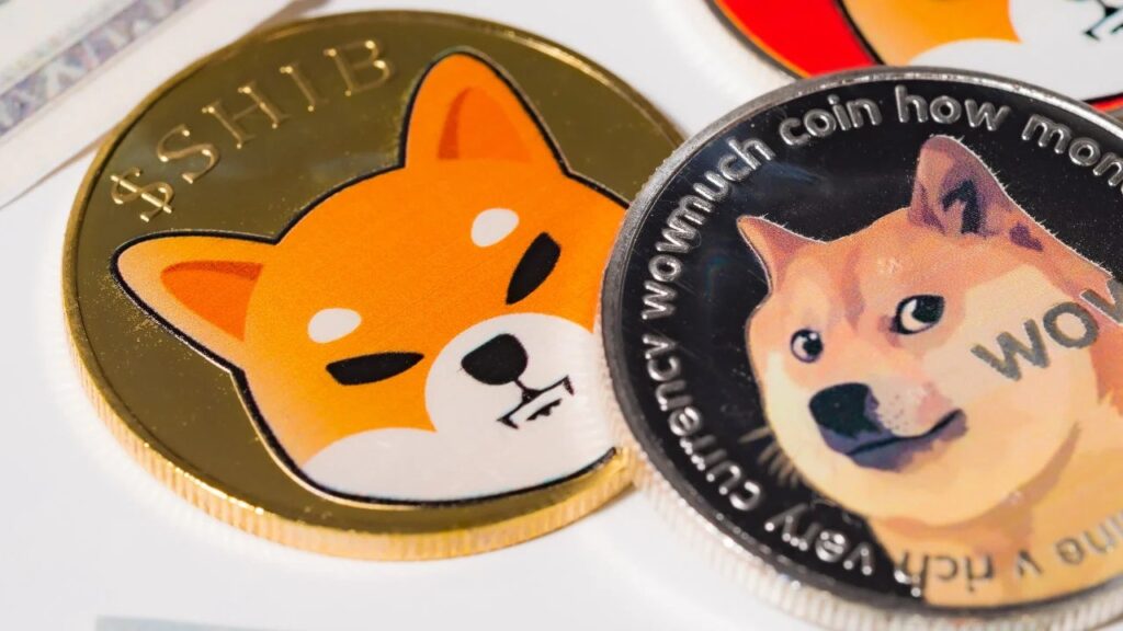 Shiba Inu coin vs. Dogecoin