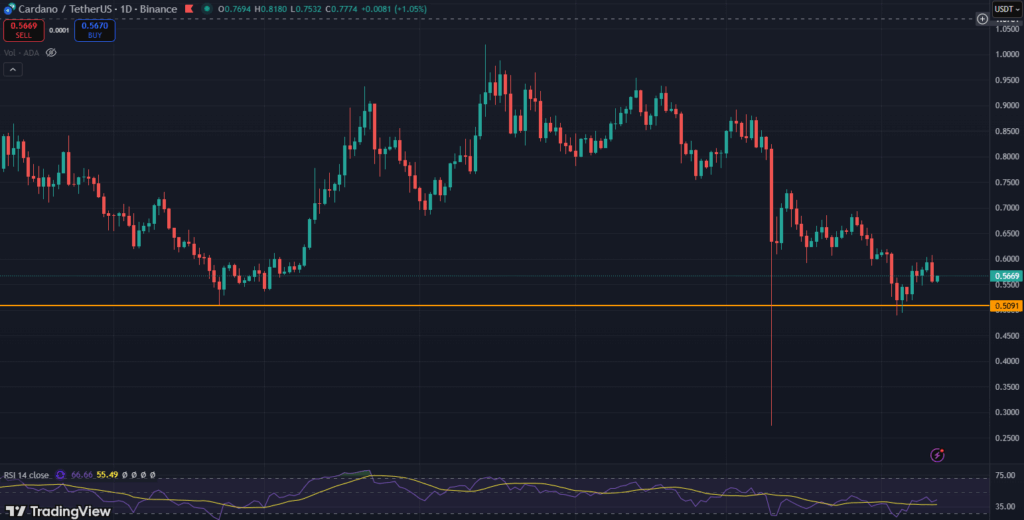Cardano